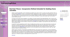 Desktop Screenshot of hermesbagfnbas.zoomblog.com
