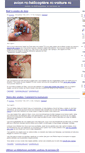 Mobile Screenshot of moderc.zoomblog.com